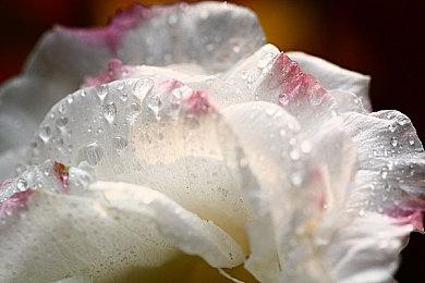 《七大罪：起源》 开通宣传网站和社交媒体账号